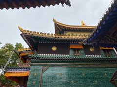 -塔尔寺菩提树
