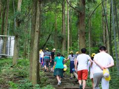 -东天目山风景区