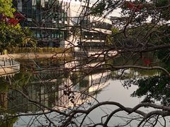 -深圳国际园林花卉博览园