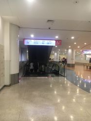-上海市儿童医院(泸定路院区)