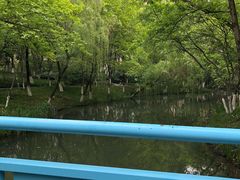-青枫公园