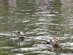 -西湖天地