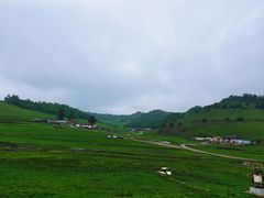 -关山草原