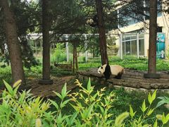 -西安秦岭野生动物园