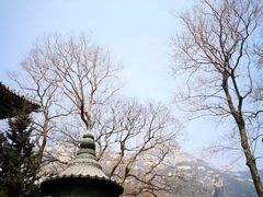 -青岛崂山太清宫