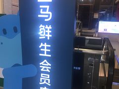 -盒马鲜生(大成店)