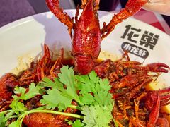 -龙巢盱眙龙虾·鸡煲·烧烤宵夜(坪洲店)