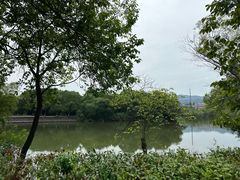 -西溪国家湿地公园