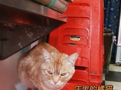 -胡椒猪肚汤(康王店)