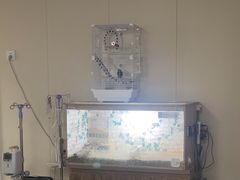 -美联众合爱康动物医院•复杂内科•肿瘤科•牙科•腔镜诊疗中心