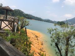 -广州市流溪河国家森林公园