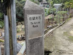 -狮子山郊野公园