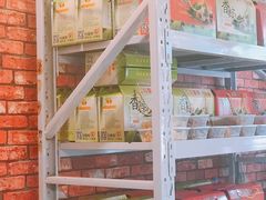 粽子-二斗栗子(黄河道店)