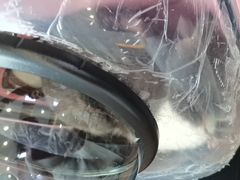 -瑞派紫金宠物医院24小时·骨科·中兽医·重症转诊中心(番禺大石院)