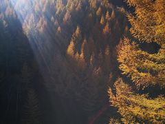 -苏木山森林公园