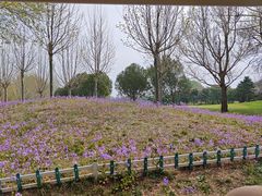 -龙熙温泉高尔夫俱乐部