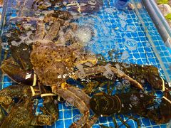 -双合园·海鲜水饺青岛菜(九水东路店)