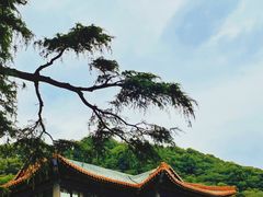 -临江·阅炉