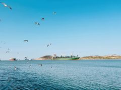 -海驴岛(荣成市)