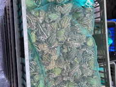 -二0二李记南瓜田鸡老字号(宜宾一店)