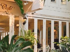 -Fern Forest Cafe