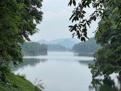 -红花湖景区