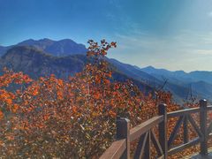 -周口店坡峰岭风景区