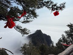 -秦岭天竺山生态文化旅游景区