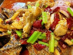 -鱼酷活鱼烤鱼(沈阳大悦城店)