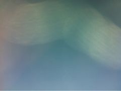 -西安化觉巷清真大寺