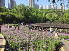 -龙头寺公园