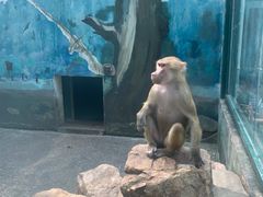 -无锡动物园·太湖欢乐园