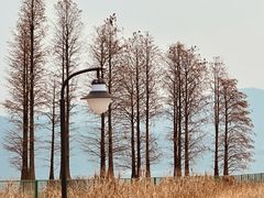 -四明湖