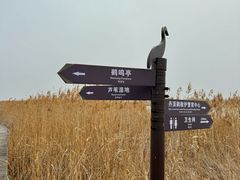 -盐城丹顶鹤湿地生态旅游区