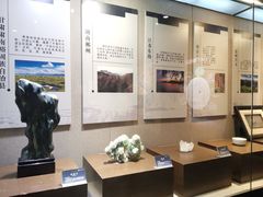 -中华赏石园