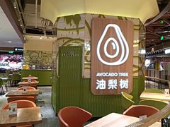 -油梨树AVOCADO TREE(嘉里中心店)