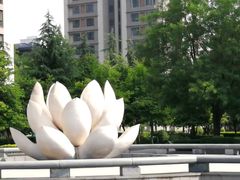 -木塔寺遗址生态公园
