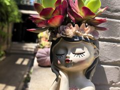 -庐灶江南·江南菜·四合院Bistro(东直门·华侨夜泊君亭店)
