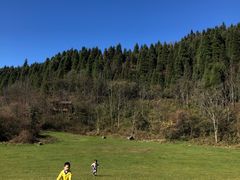 -武陵山森林公园
