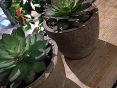 -红蕃干锅·脆皮香辣虾(南屏街金鹰店)