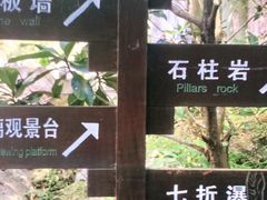 -龙湾潭国家森林公园