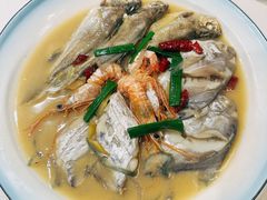 杂鱼-新楚记