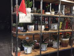 -邱金小炒·30 年盐帮江湖菜(自贡店)