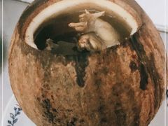 椰子炖鵪鶉-達揚原味燉品(文明路店)