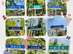 -八大关景区
