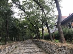 -阳台山自然风景区