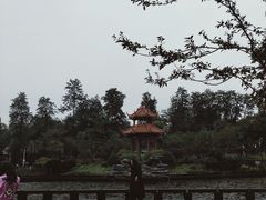 -四川大学(望江校区)
