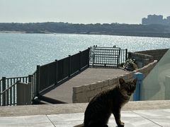 -北港方记海鲜楼·海景餐厅
