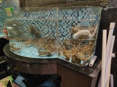 -鹏城人家海鲜酒家·23年老字号(较场尾店)