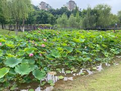 -沐仙湖湿地公园